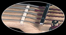 lakland neck brace